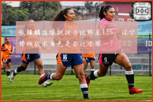 张镇麟接球跳投占比降至15%，辽宁锋线战术角色是否过于单一？
